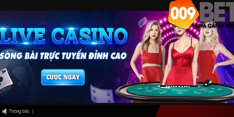 Game Bài 009bet - Chơi Tam Cúc Hôm Nay Nhận Tiền Đầy Tay